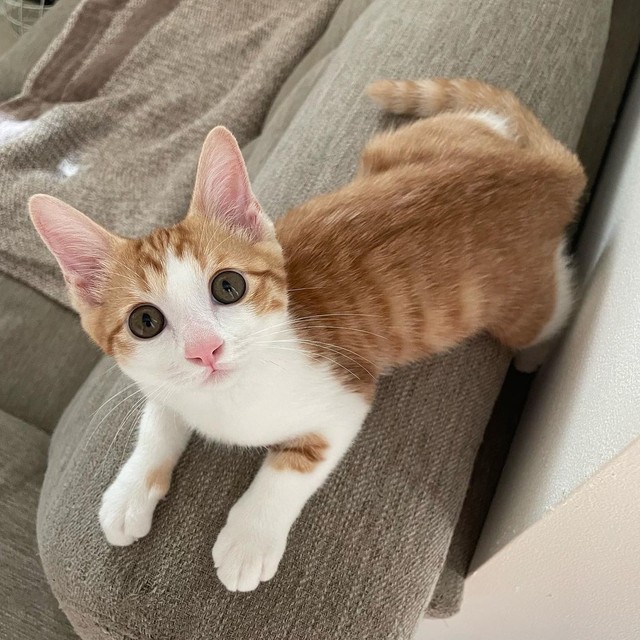 可愛いけど、お転婆さん。