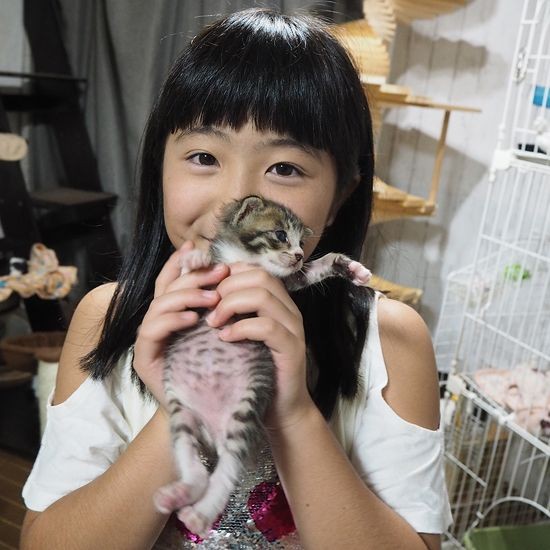 猫も渚美ちゃんもぐんぐん成長中　（菅聖子さん提供）