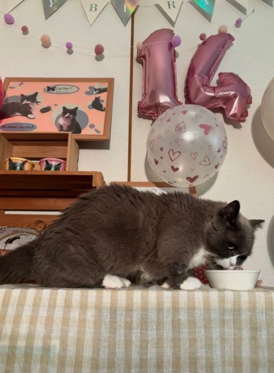 14歳のお誕生日を盛大にお祝い