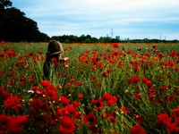 【厳選】「でかい」から見えた新しい世界。高身長に悩んだ女性が輝いたエッセイ５選