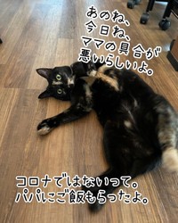 今日のご飯当番はパパ＝atorie_hijikiさん提供
