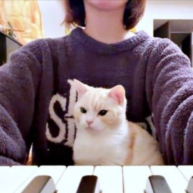 正面に座り直して、鍵盤を見つめるうにくん（画像提供：こぴさん）