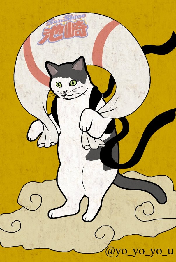 サンシャイン池崎さんちのお猫様は動じない！「ハイテンションな