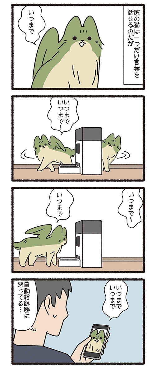 【漫画】『ねこようかい』6　(C)pandania/竹書房