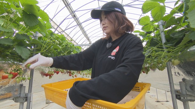 女性アントレプレナー10人が登壇　ビジネスプラン発表会　四国初開催　香川