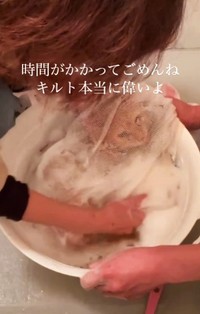 保護してから80日目。体を洗ってもらっているキルトくん(まねきねこさん提供、Instagramよりキャプチャ撮影)