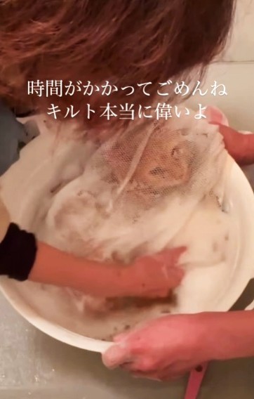 保護してから80日目。体を洗ってもらっているキルトくん(まねきねこさん提供、Instagramよりキャプチャ撮影)