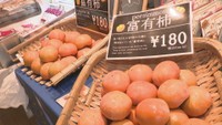 柿やイチゴ、そばなどの特産品が勢ぞろい　栗林公園で「綾川フェア」　高松市