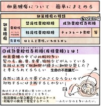 卵巣腫瘍の簡単な説明　(C)明石こや