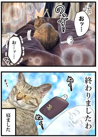 ち～ちゃんが足元にやって身動きでいないも～さん　（も～さんの提供）