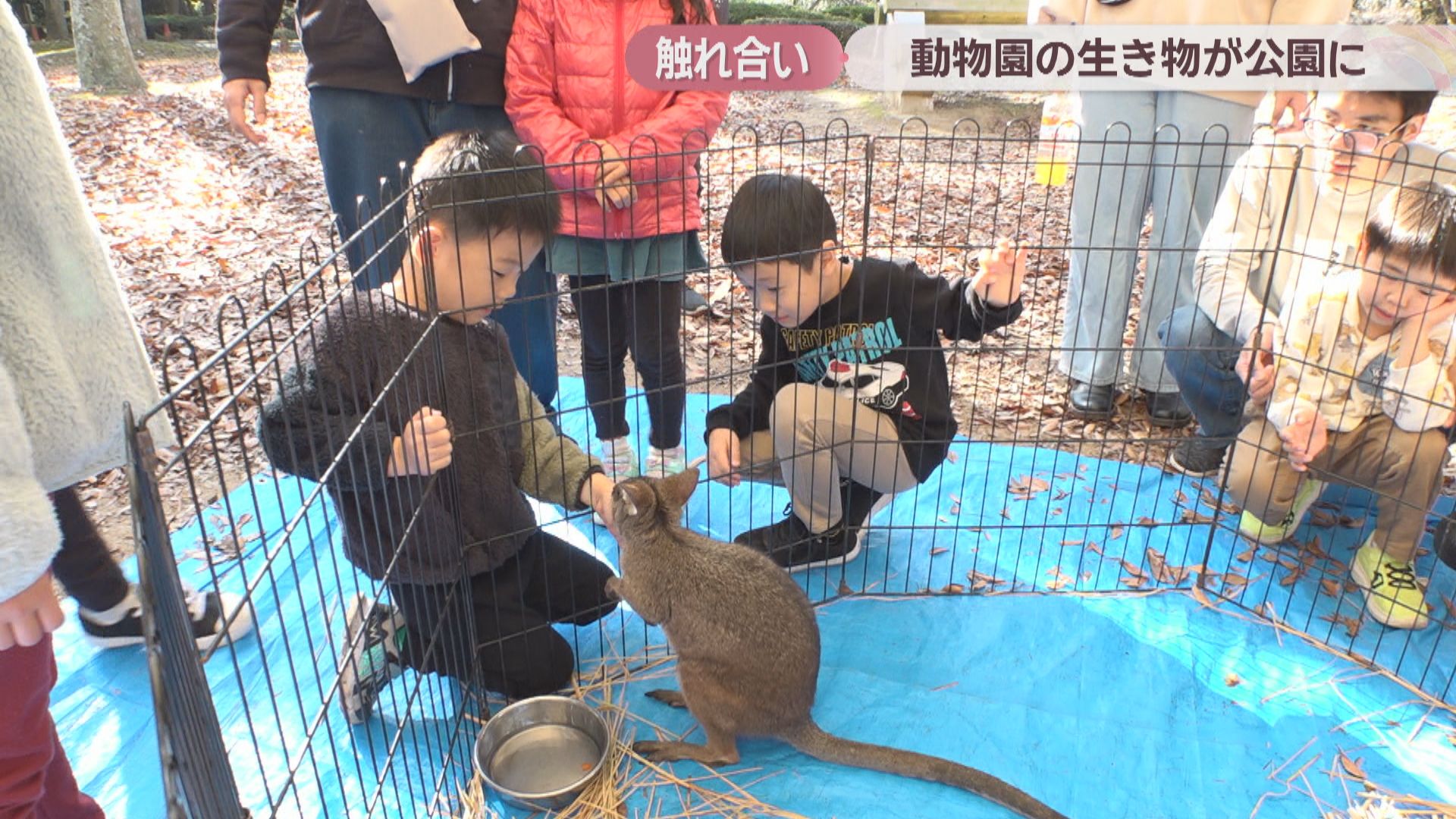 しろとり動物園の動物が高松市の公園に 子どもたちがキンカジューなど