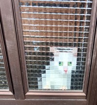 まさに処理落ち界のレジェンド！（提供：ジョーは犬&猫と共に古民家で暮らしているさん）