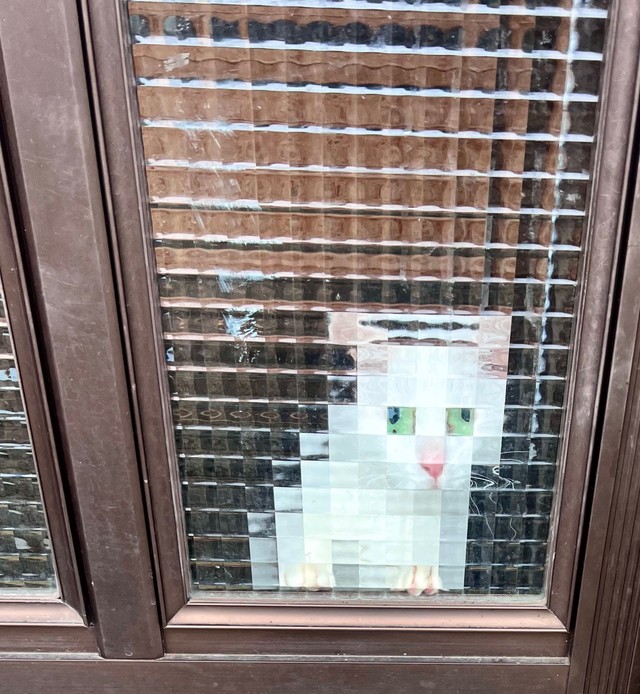 まさに処理落ち界のレジェンド！（提供：ジョーは犬&猫と共に古民家で暮らしているさん）