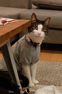 ガーラさんの感情がまだ読めません（提供：松本ひで吉さん）