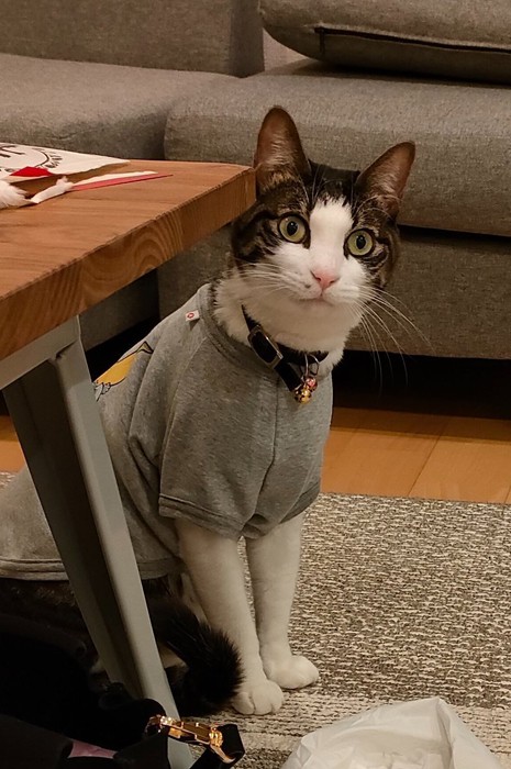 ガーラさんの感情がまだ読めません（提供：松本ひで吉さん）