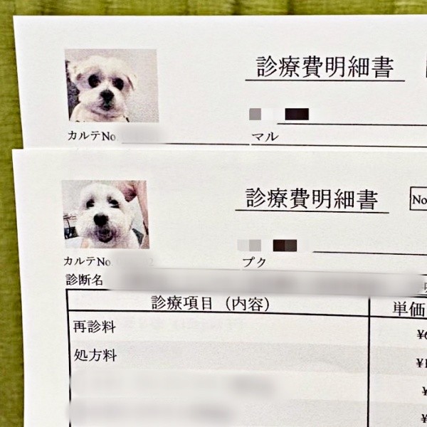 病院の診療明細書に添えられた（上から）マルくん、プクくん（画像提供：プクマルさん）