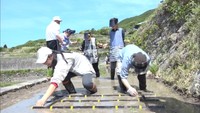 「日本の棚田百選」中山千枚田で障害者たちが田植え体験　農福連携で棚田を守る　香川・小豆島