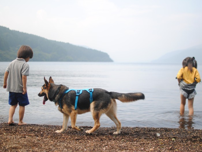 ジオと、湖へ（恵理さん提供）