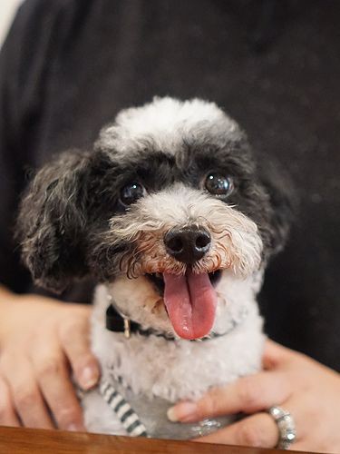 「また皆で会いたいな」