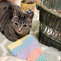 編み物をしていると、ずっとそばにいてくれる