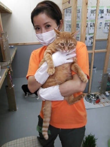 猫舎のお掃除も担当されたそう。収容された猫さんとのふれあいタイム