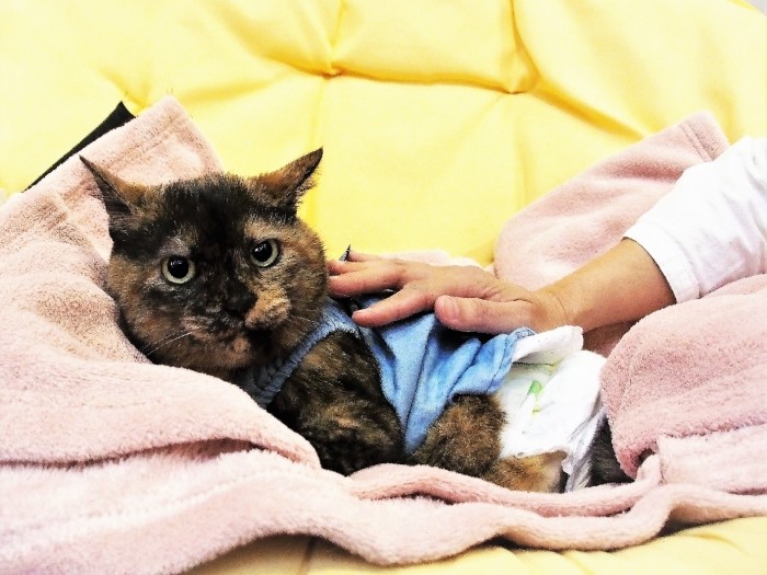 ゆかこ母さんのあったかい手