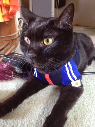 13歳ごろのくぅちゃん「サッカーのユニフォームでちょっと勇ましく」（典佳さん提供）