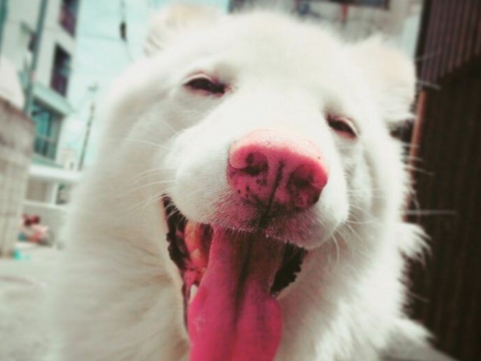 幸せをつかんだよ！