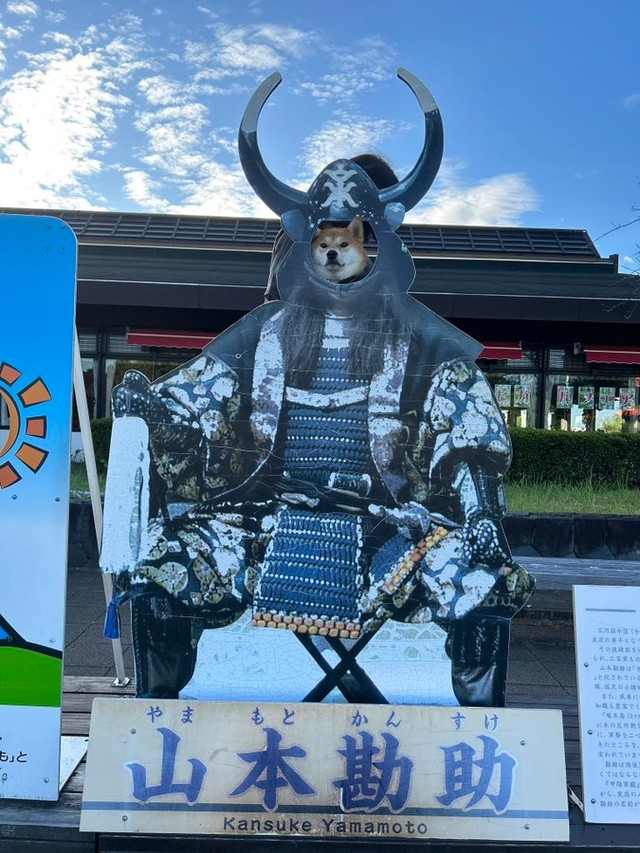 ちびこちゃんの「顔出しパネル」シリーズ。凛々しい！（画像提供：柴犬ちびこさん）