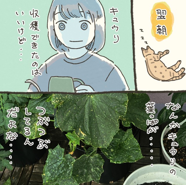 収穫できたのはいいものの、まだまだ分からないことが多すぎる（おべちさん提供）