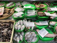 生の魚が並ぶ鮮魚売り場のイメージ※この画像はイメージです（kyhigh.ring/stock.adobe.com）