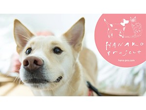 山田あかねさん、石田ゆり子さん　保護犬猫の医療費を支えるハナコプロジェクトを始動