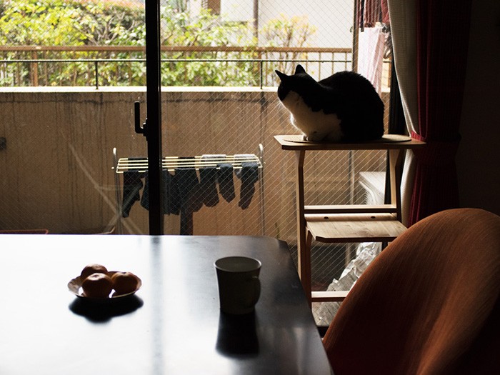 「おばちゃんちに来てちょうど１年だ」（小林写函撮影）