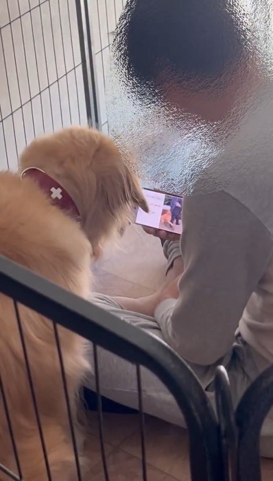 朝起きると、平和な空間が…（提供：ロッカ❄️ポックル🌱さん）