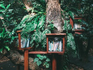 憧れの彼に会うために、私は大正時代の東京で三男坊として生まれたい