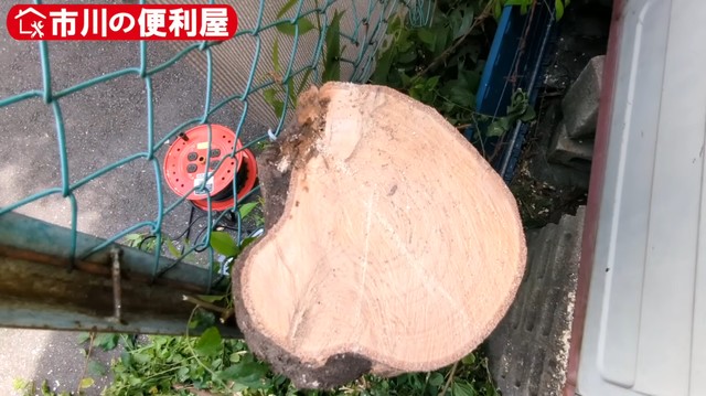 硬い木ほど刃が入りにくく、時間がかかった／市川の便利屋さん（@ichikawanobenriya）提供