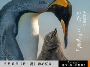 【年齢制限なし・AERA dot.コラボ】「わたしと『母親』」でエッセイ募集！5月6日（月・祝）締切