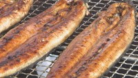 スーパーの店頭で焼き上げたウナギ