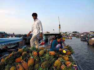メコンの恵みが人を育てる　新時代の経済圏