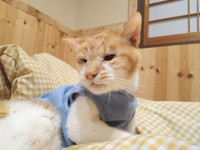 そのかわいさに、多くのファンが魅了されていた