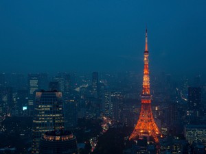 23歳で本当の東京を感じた。4年後の今は、お給料が減っても幸せ