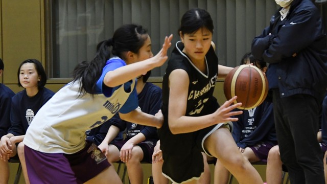 ミニドッグス―千葉ジェッツ