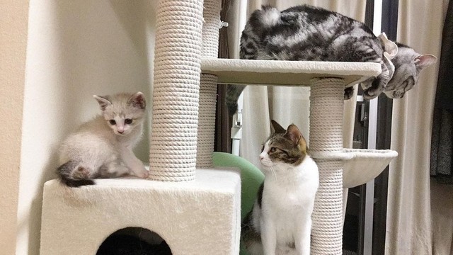 みんなと幸せに暮らすはずだった
