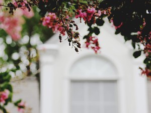 4年交際し、フッた元彼が結婚する。感傷にひたってしまうのはなぜ