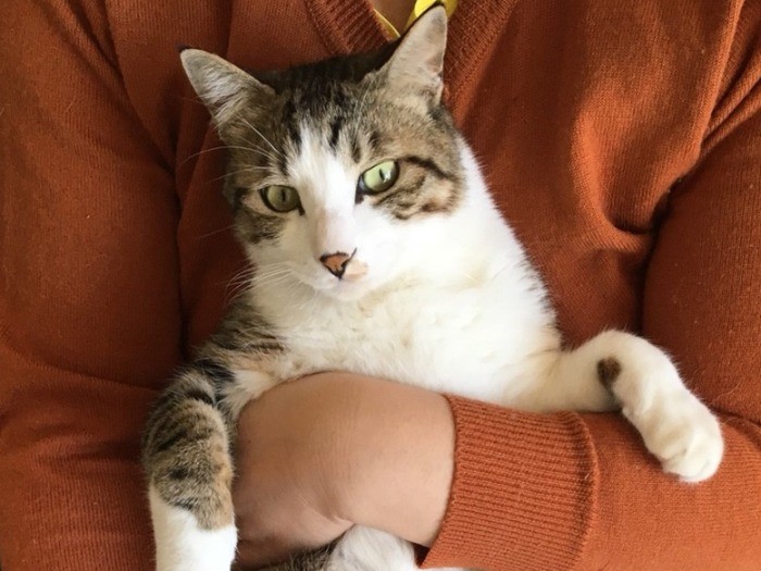 妻に抱っこされ、恍惚（？）の表情のジャッキー