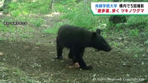 大学の構内で５月に５回ツキノワグマが出没　宮城・名取市の尚絅学院大学