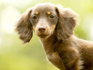 季節の変わり目のくしゃみ　あらゆる可能性を考えよう