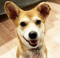 ついに幸せをつかんだアドちゃん