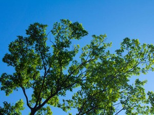 部活動に打ち込んだ中学時代を経て、ゆったりスポーツを楽しむ今