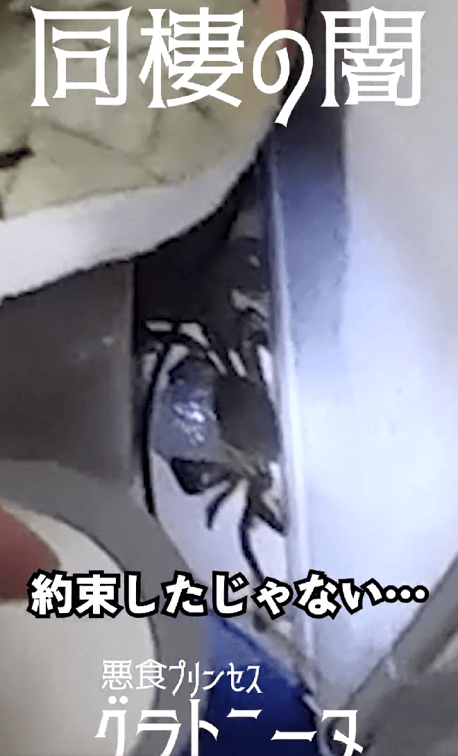 泡吹いているところを発見